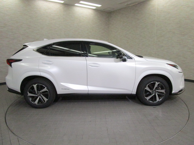 NX300h20250904
