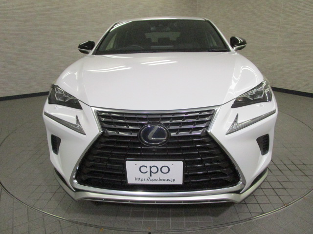 NX300h20250904