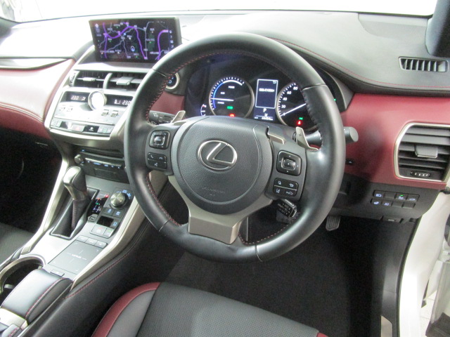 NX300h20250904