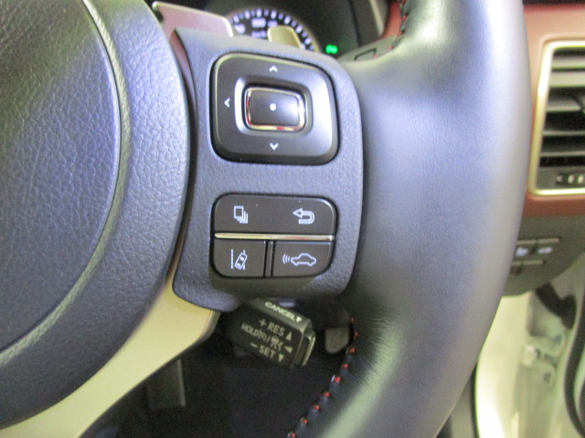 NX300h20250904