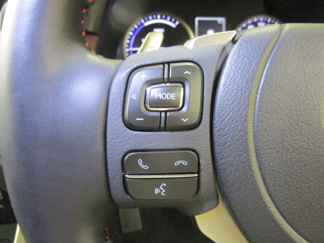 NX300h20250904