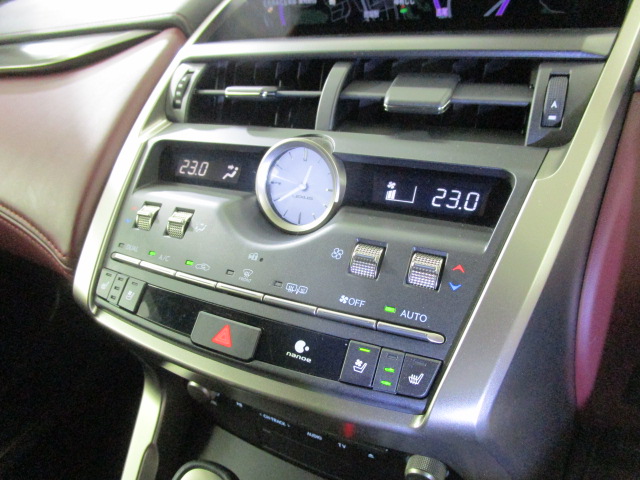 NX300h20250904