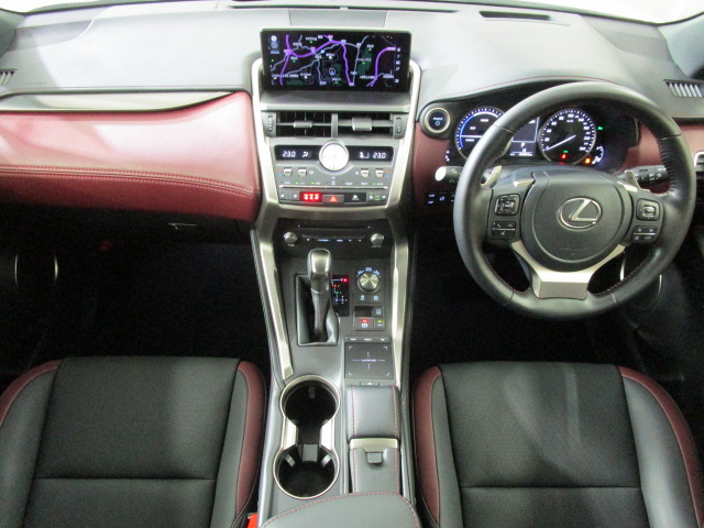 NX300h20250904
