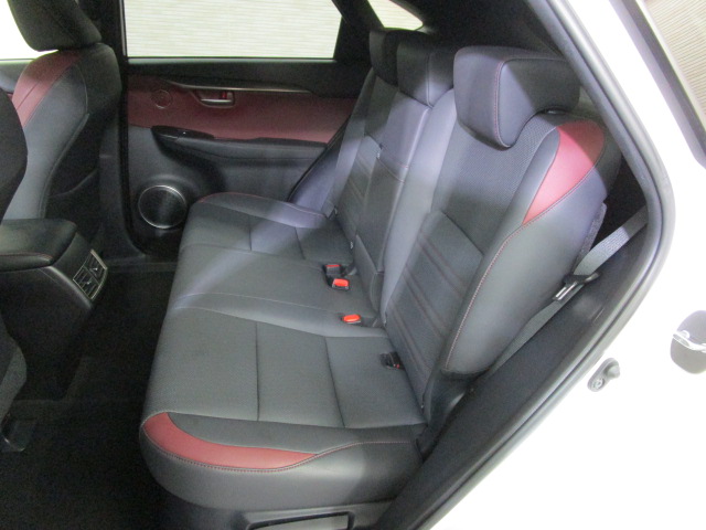 NX300h20250904