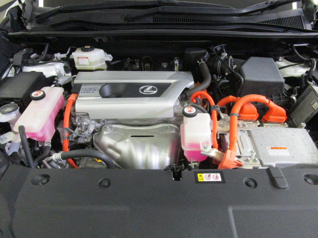 NX300h20250904