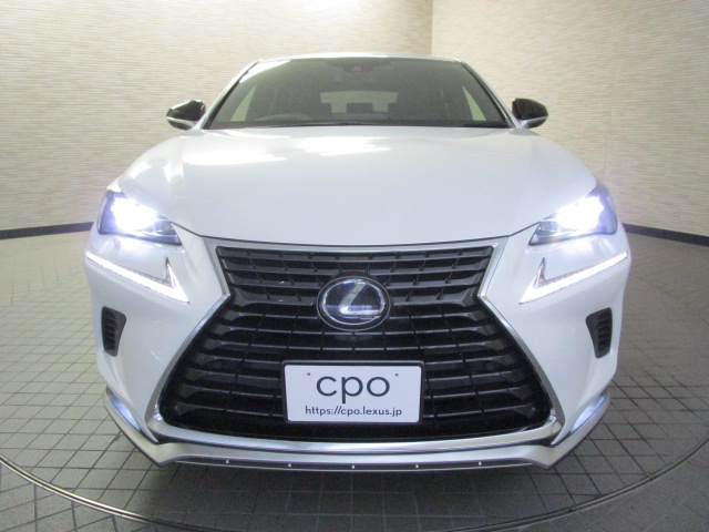 NX300h20250904