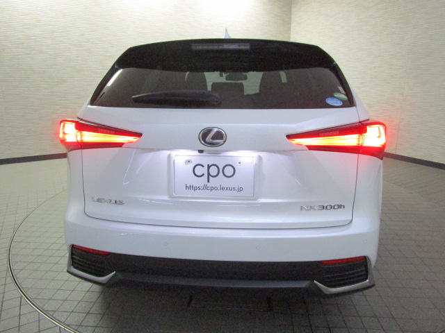 NX300h20250904