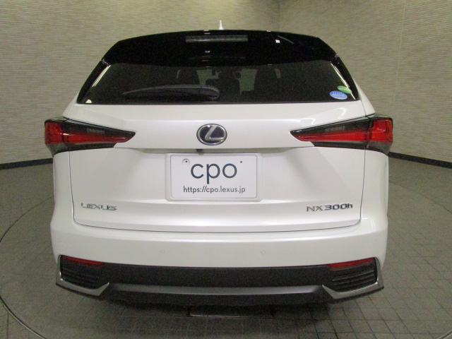 NX300h20250904