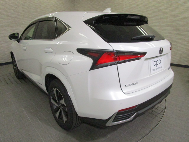 NX300h20250904