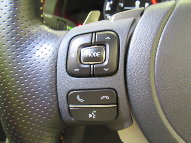 RC30020251006