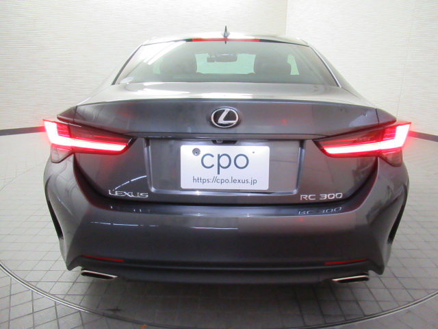 RC30020251006
