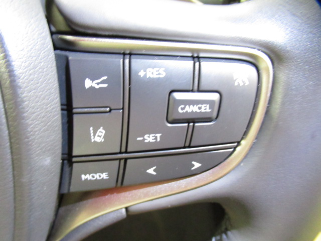UX20020251006