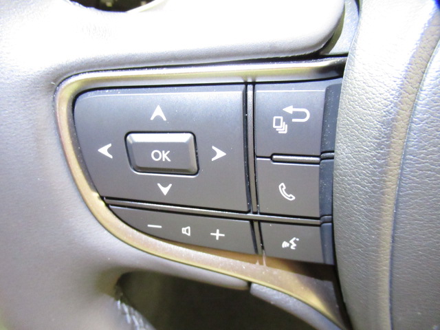 UX20020251006