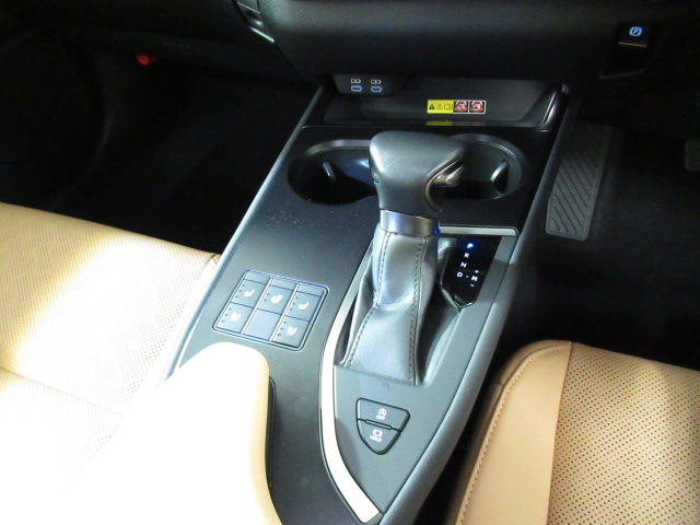 UX20020251006
