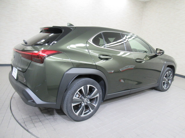 UX250h20251022