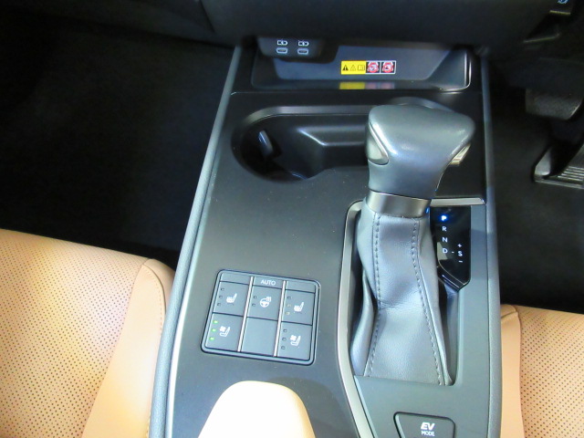 UX250h20251022