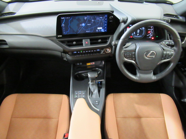 UX250h20251022