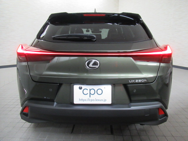 UX250h20251022
