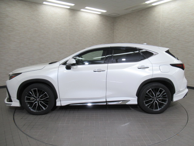 NX350h20251121