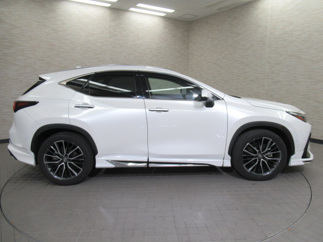 NX350h20251121