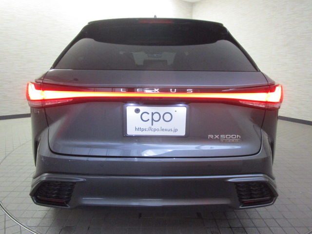 RX500h20260402