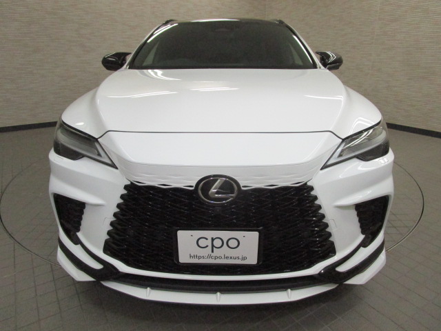 RX500h20260521