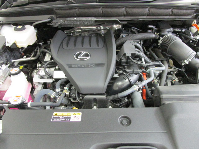 RX500h20260521