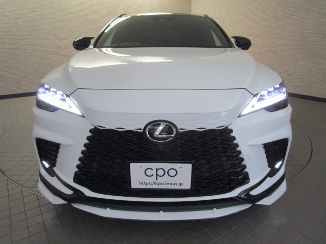 RX500h20260521
