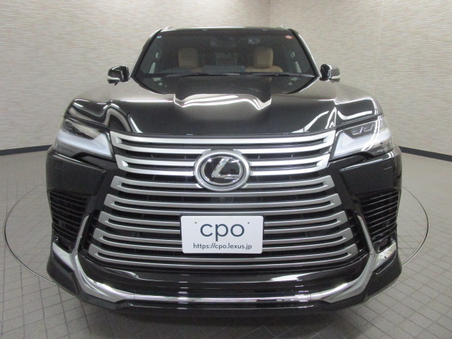 LX60020260528