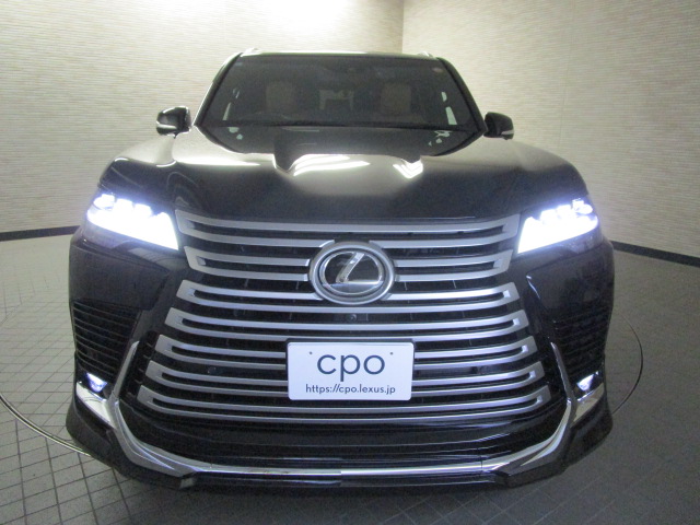 LX60020260528