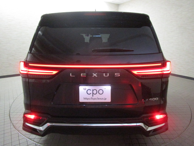 LX60020260528