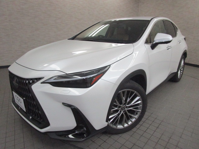 NX350h20260625