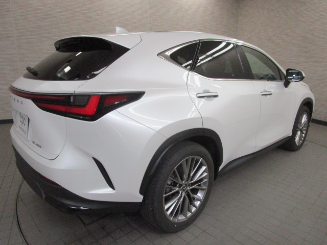 NX350h20260625