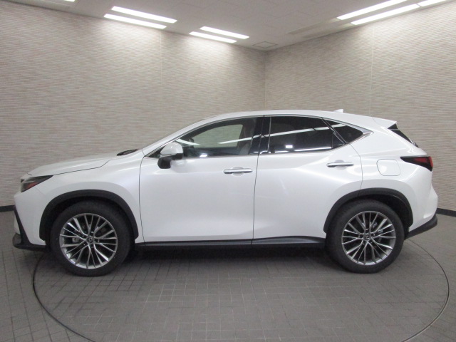 NX350h20260625
