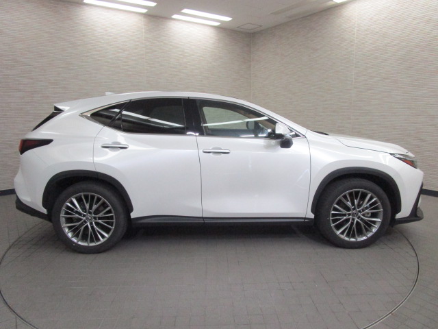 NX350h20260625