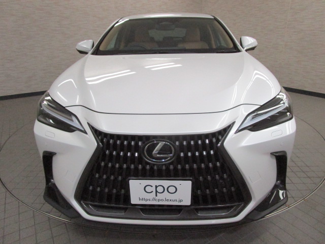 NX350h20260625