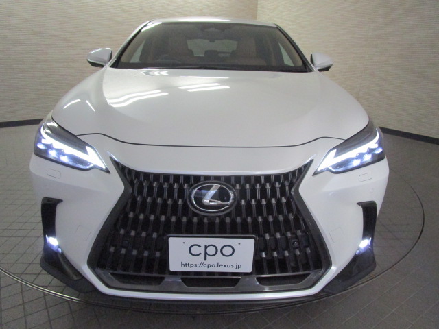 NX350h20260625