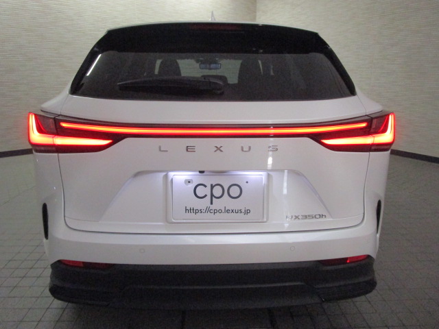 NX350h20260625