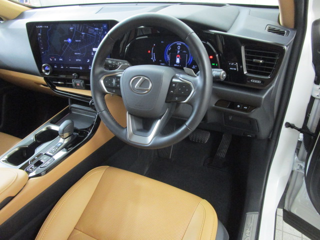 NX350h20260625