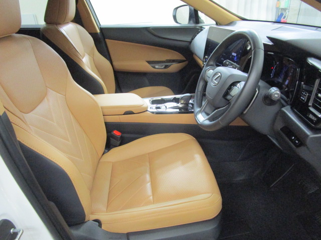 NX350h20260625