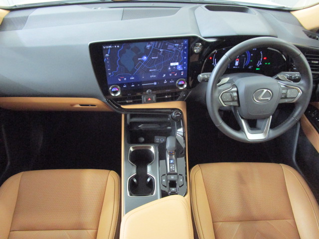 NX350h20260625