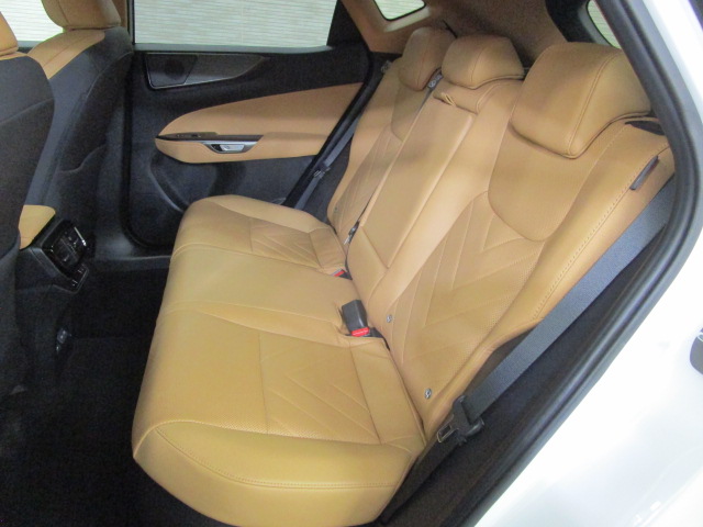 NX350h20260625