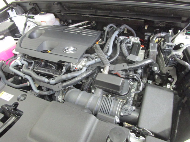 NX350h20260625