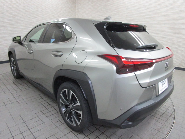 UX250h20260710