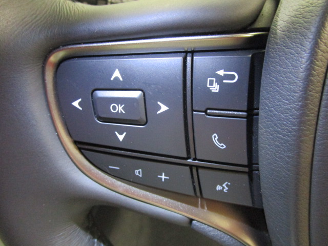 UX250h20260710