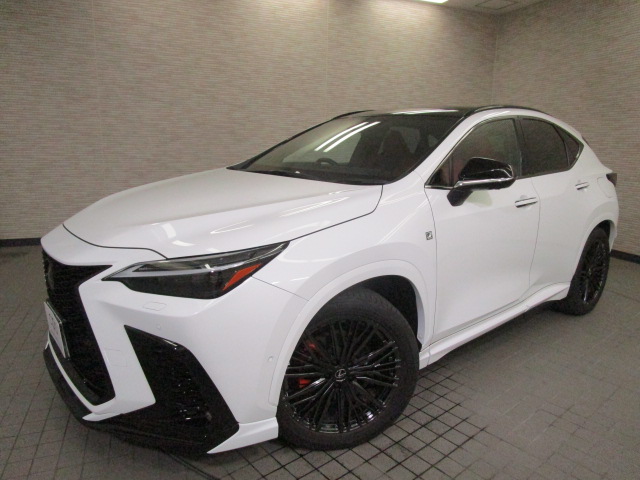 NX350h20260807
