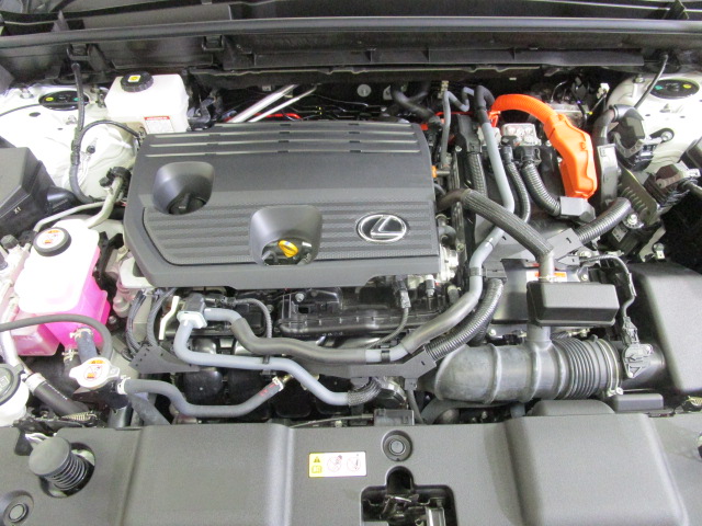 NX350h20260807