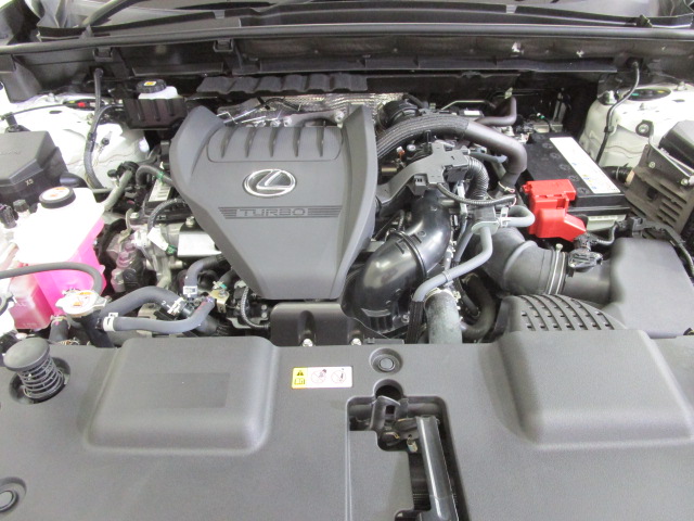 NX35020260909