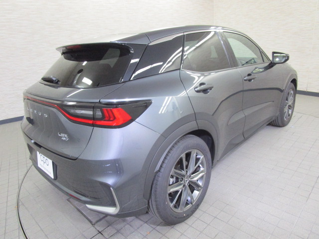 LBX20260916