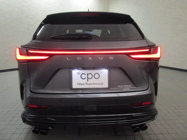 NX35020261007